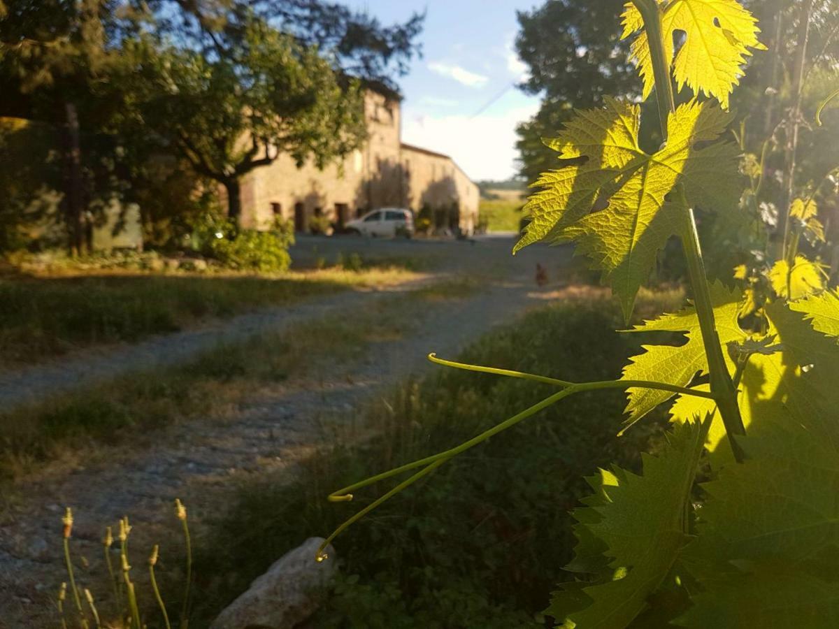 Agriturismo Podere Molino Peccioli Εξωτερικό φωτογραφία