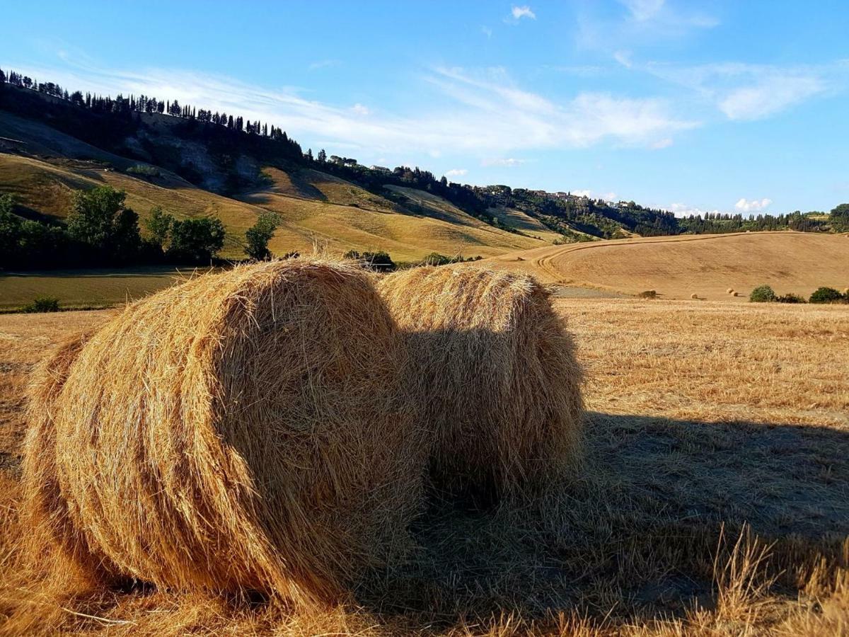 Agriturismo Podere Molino Peccioli Εξωτερικό φωτογραφία