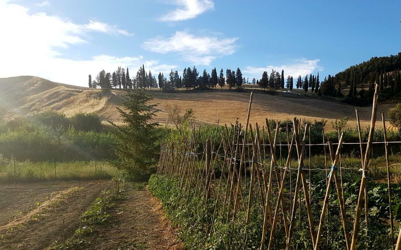 Agriturismo Podere Molino Peccioli Εξωτερικό φωτογραφία