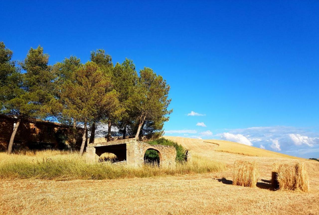 Agriturismo Podere Molino Peccioli Εξωτερικό φωτογραφία