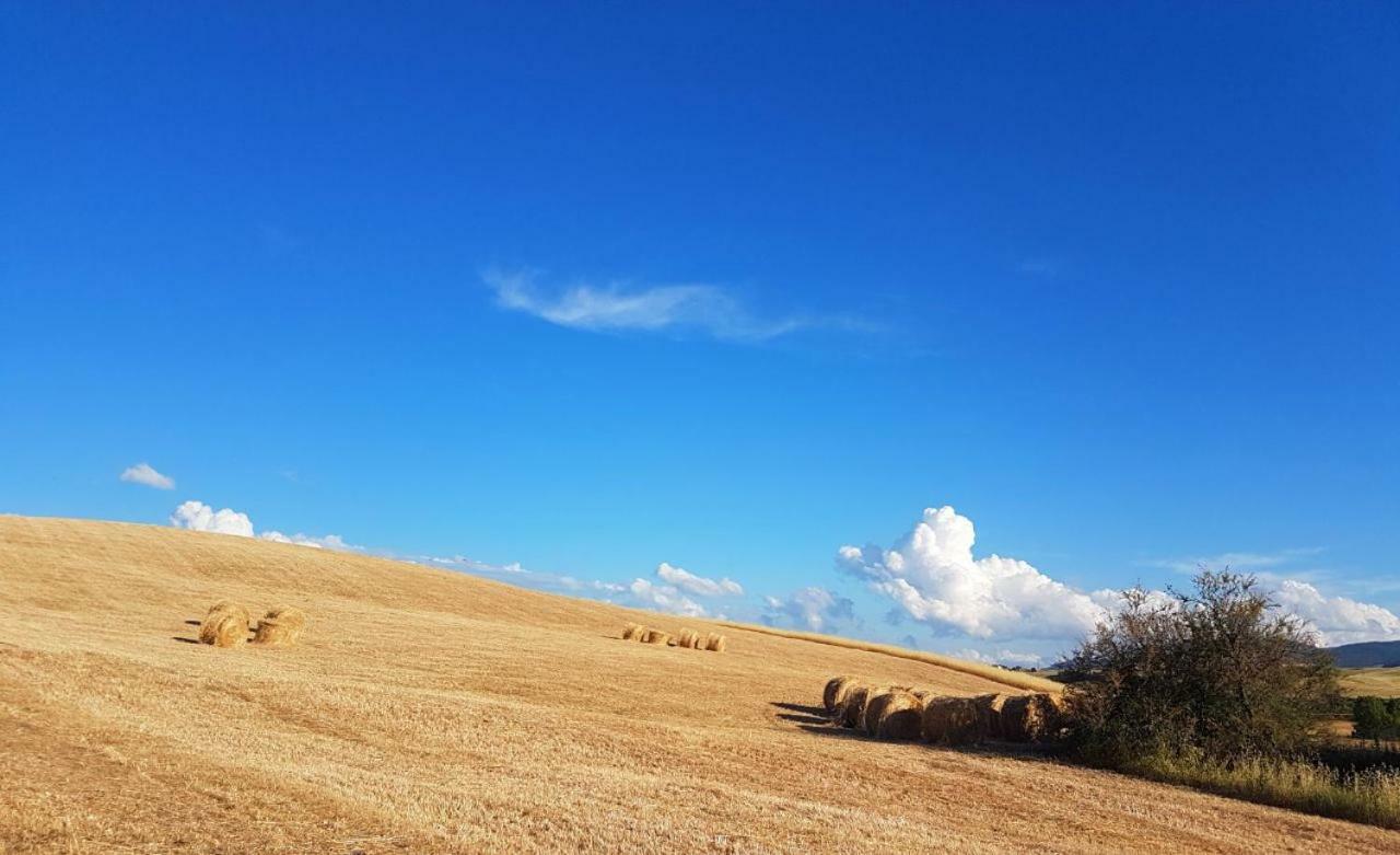 Agriturismo Podere Molino Peccioli Εξωτερικό φωτογραφία