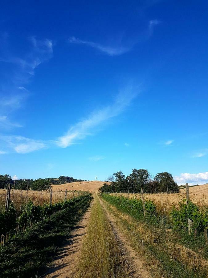 Agriturismo Podere Molino Peccioli Εξωτερικό φωτογραφία