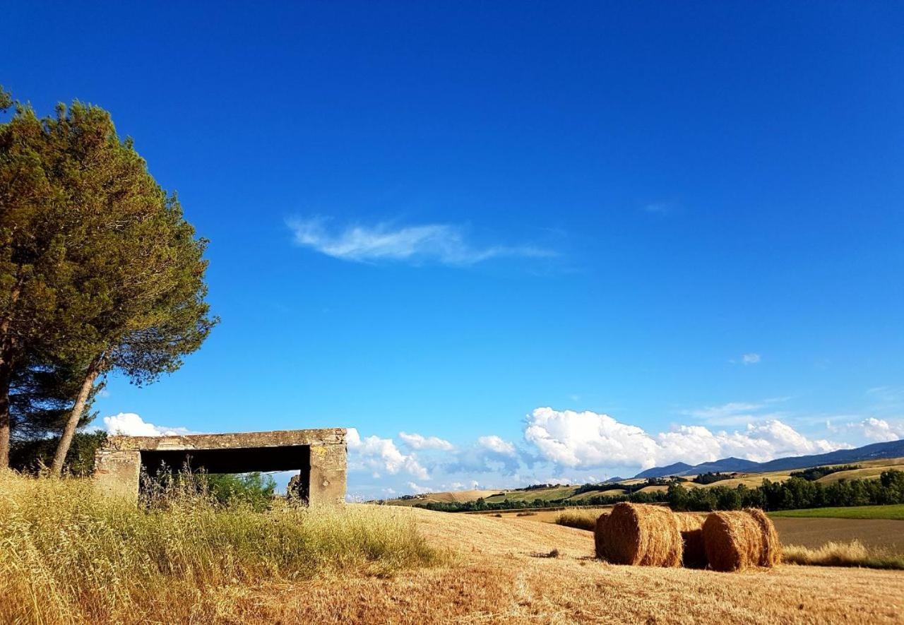 Agriturismo Podere Molino Peccioli Εξωτερικό φωτογραφία