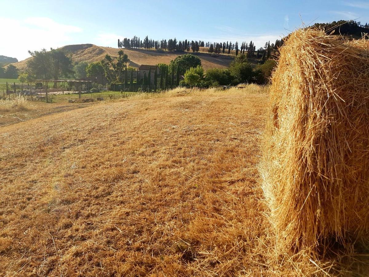 Agriturismo Podere Molino Peccioli Εξωτερικό φωτογραφία