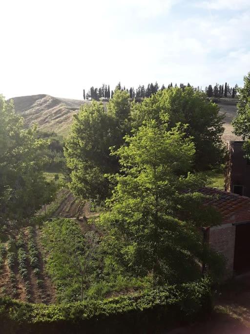 Agriturismo Podere Molino Peccioli Εξωτερικό φωτογραφία