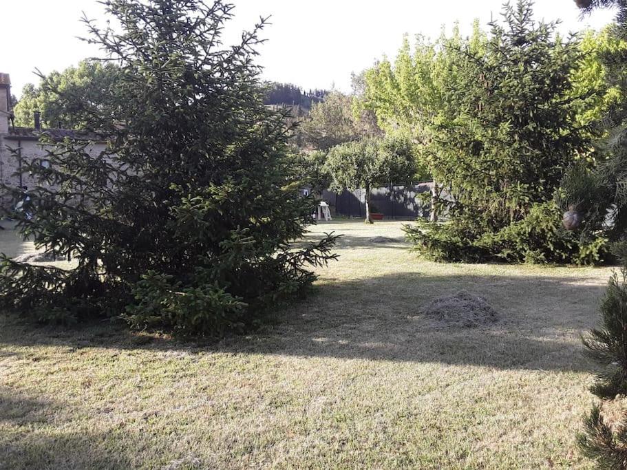 Agriturismo Podere Molino Peccioli Εξωτερικό φωτογραφία